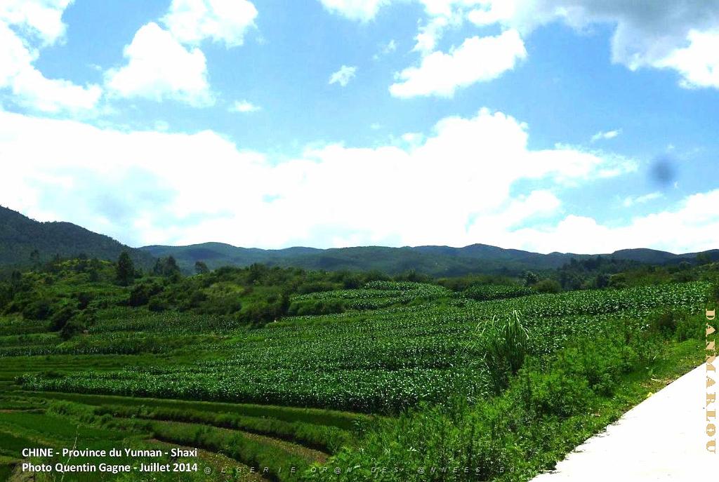 179 - Shaxi.JPG